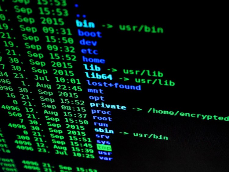 120 ethische hackers vallen digitale beveiliging Den Haag aan