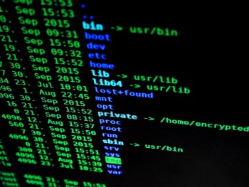 120 ethische hackers vallen digitale beveiliging Den Haag aan