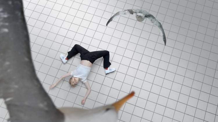 14 Haagse culturele instellingen krijgen ondersteuning van twee jaar